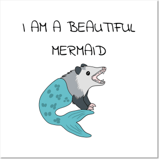 Opossum Mermaid Posters and Art